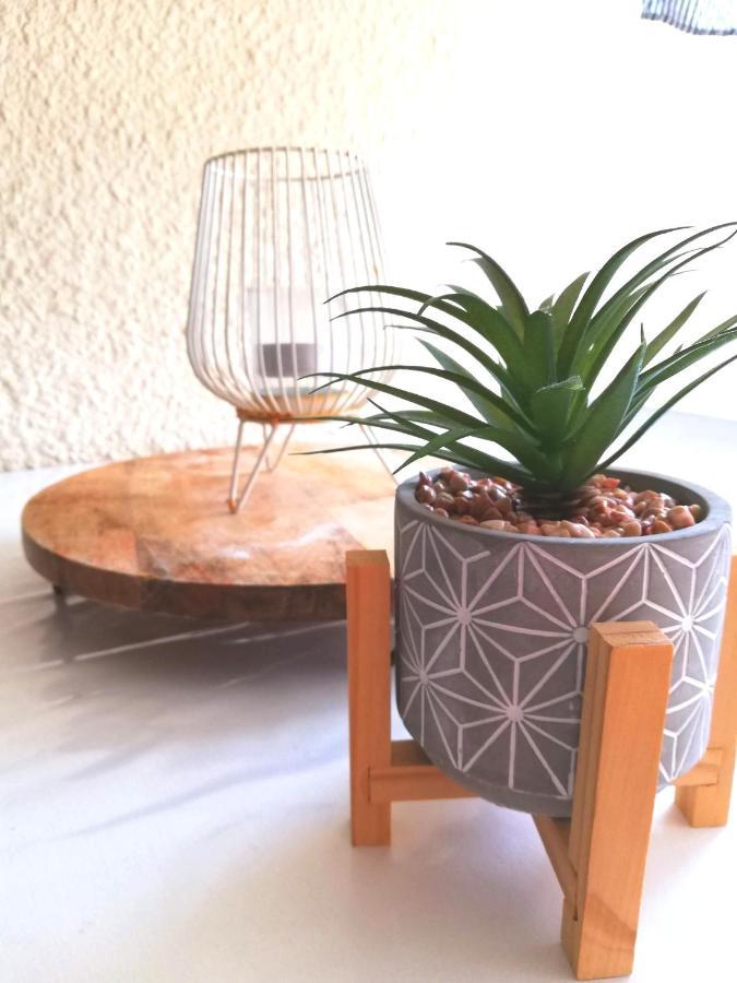 Appartement Cosy Sur La Presqu'Ile De Cap Coudalere Avec Piscine Ouverte Et Chauffee Le Barcarès Екстериор снимка